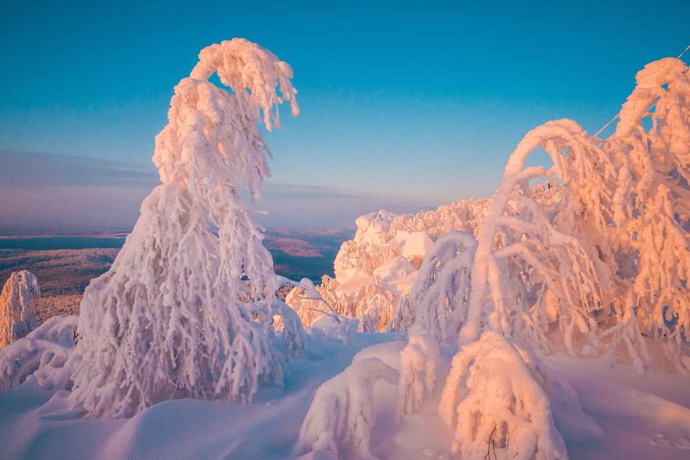 На горе Полюд