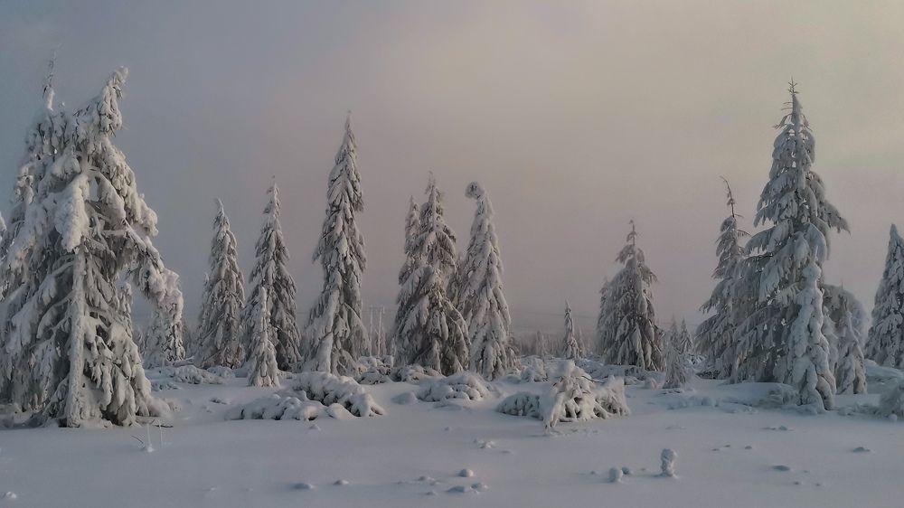 Photograph by Светлана Хамидулина