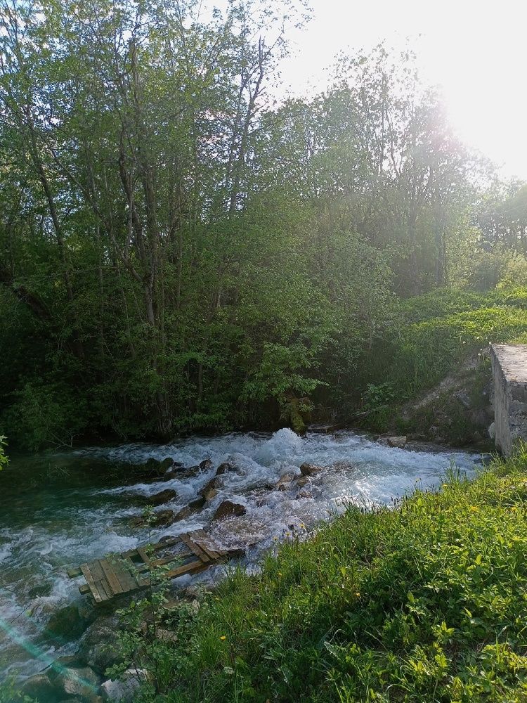 Photograph by Виктория