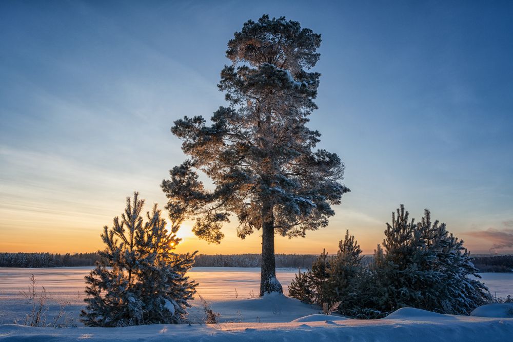 Photograph by Светлана Ващенко