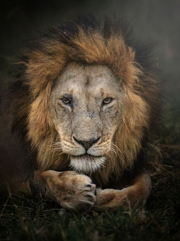 Фотография автора Anand Kumar