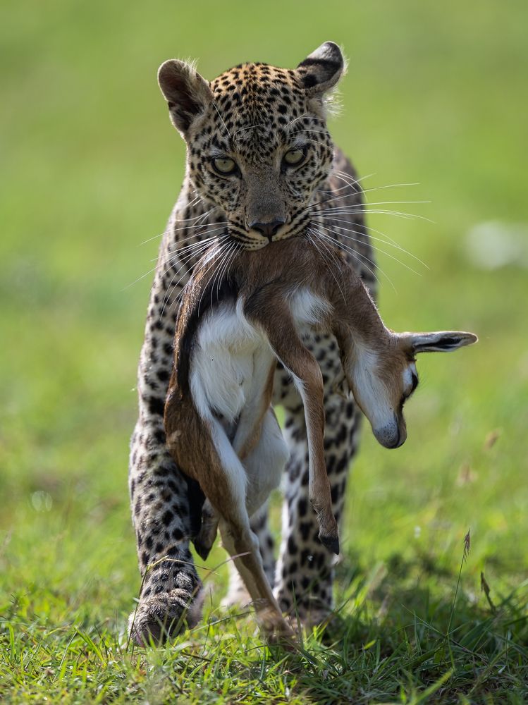 Photograph by Anand Kumar