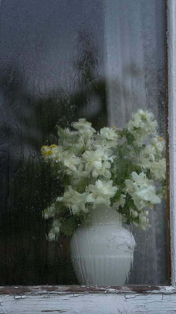 Photograph by Ольга Белоусова