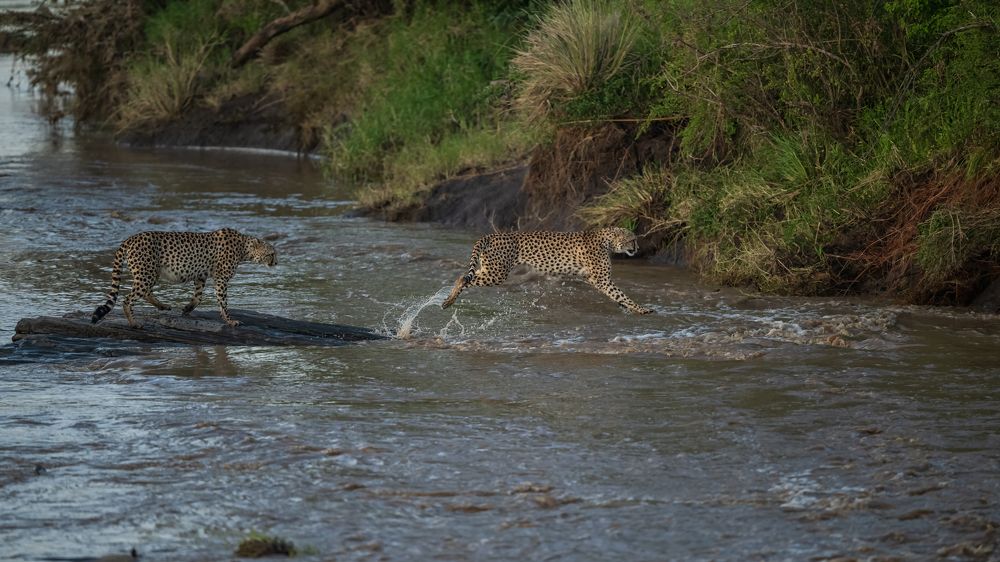 Фотография автора Anand Kumar
