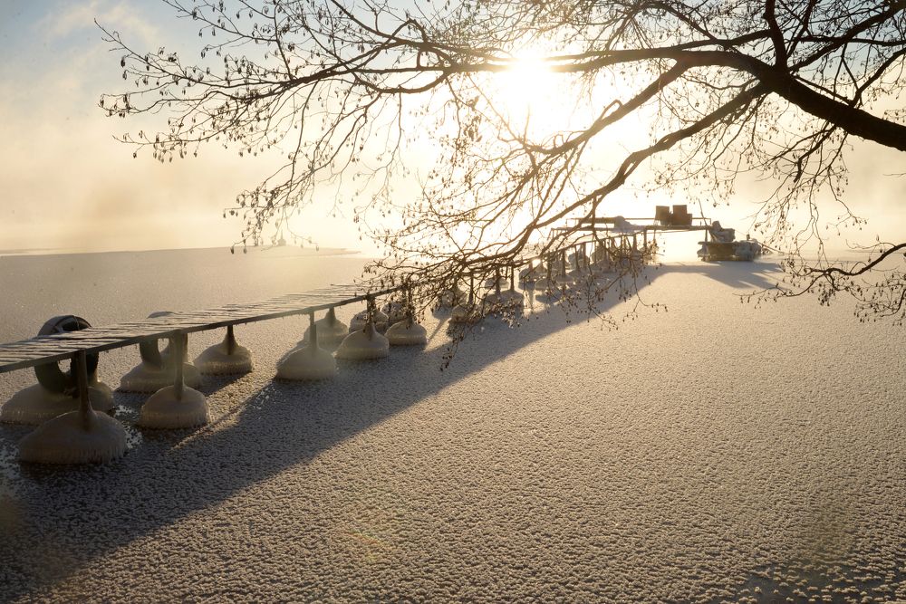 Photograph by Татьяна Кужаниязова