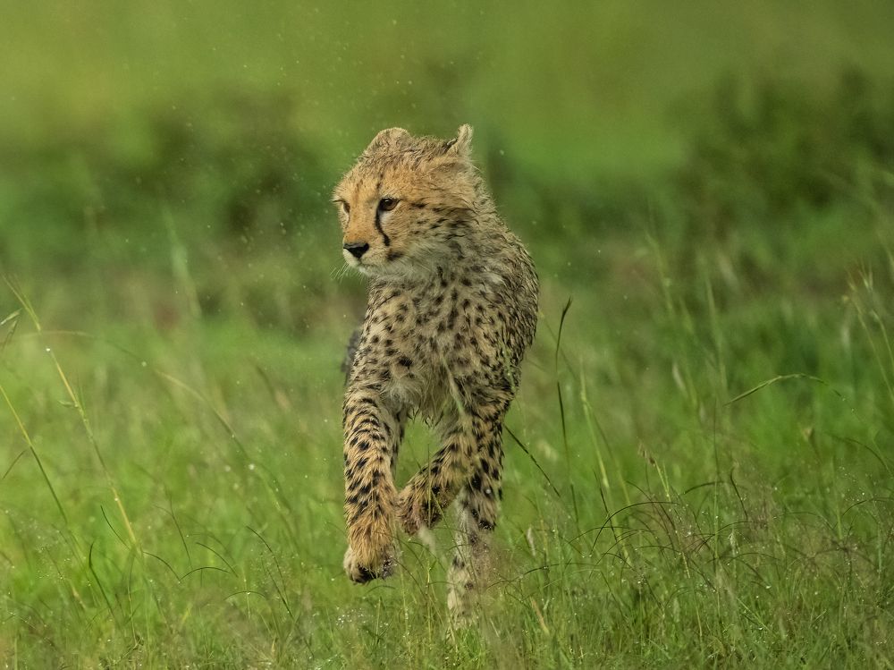 Фотография автора Anand Kumar