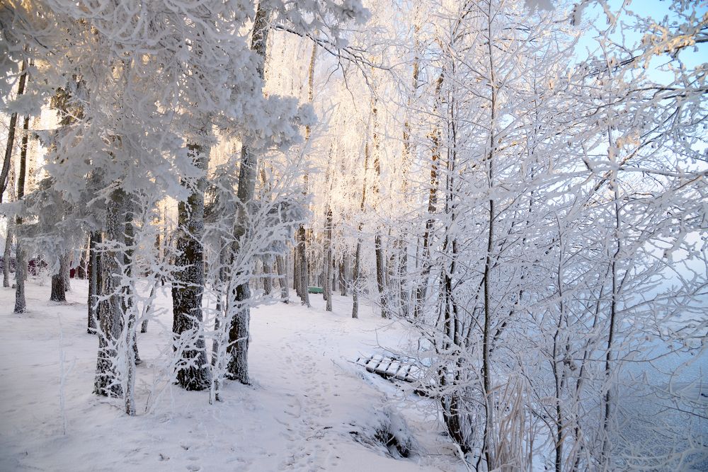 Photograph by Татьяна Кужаниязова