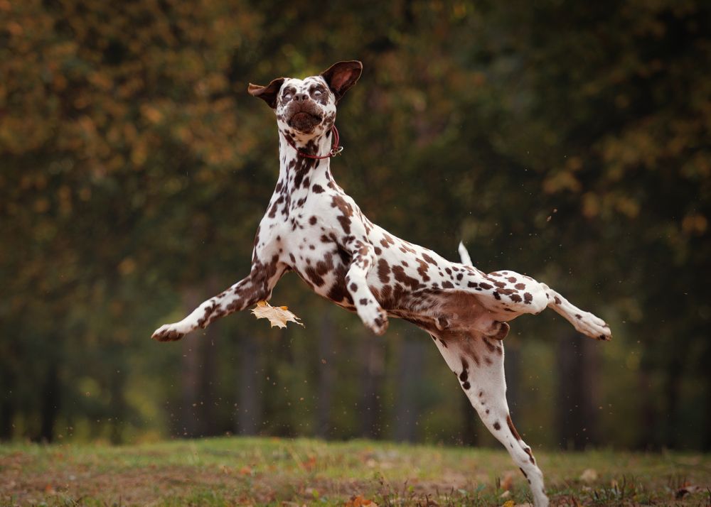 Photograph by Яна Нарбутович