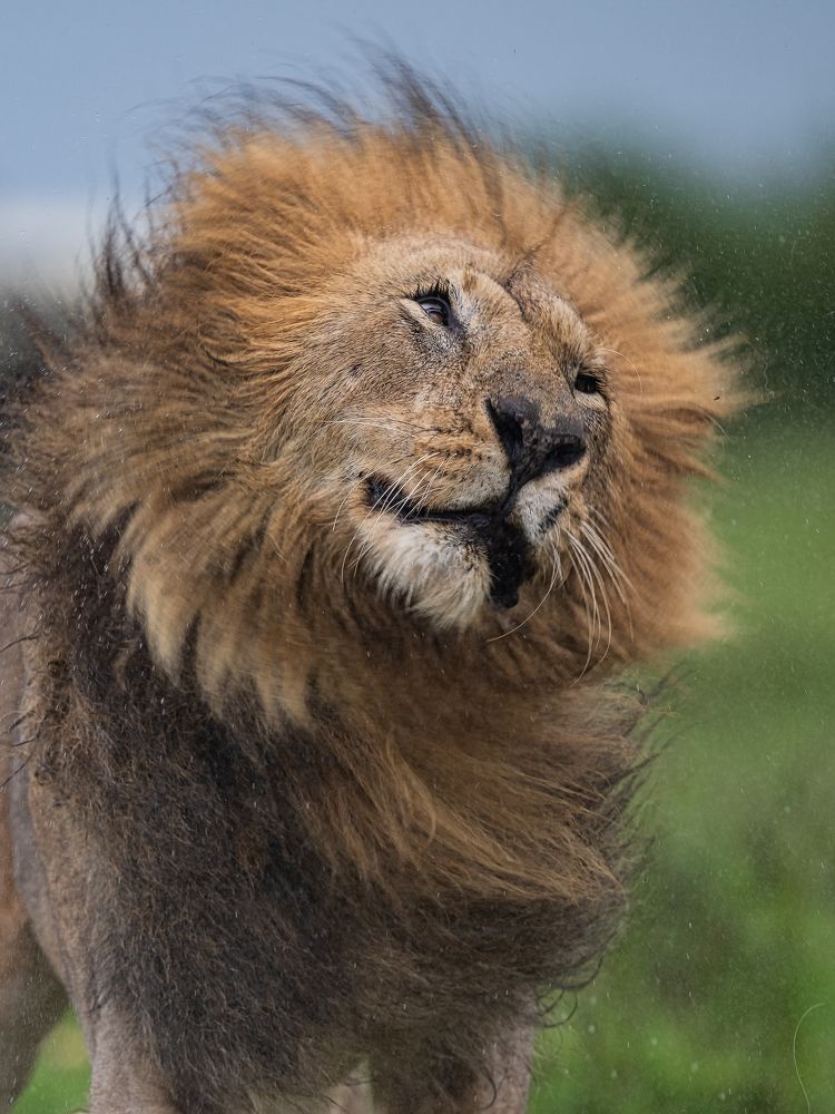 Фотография автора Anand Kumar