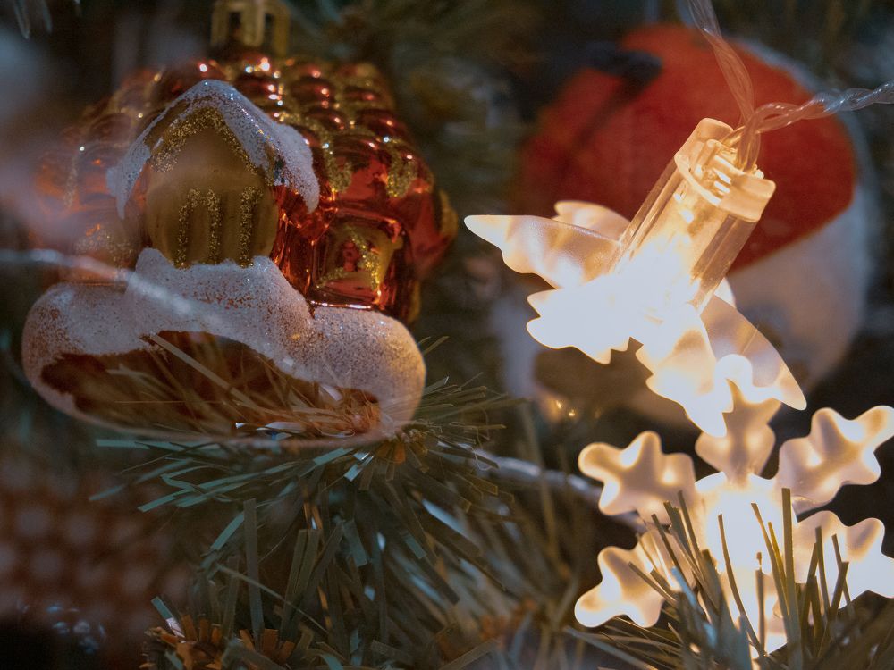 Photograph by Шейко Анна