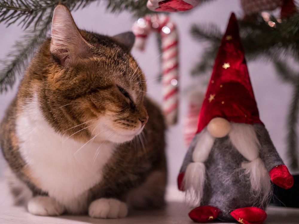 Photograph by Шейко Анна