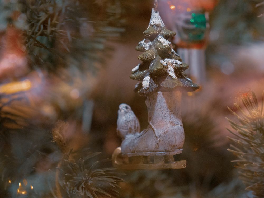 Photograph by Шейко Анна