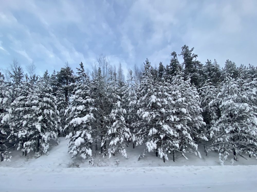 Фотография автора ГУЗАЛИЯ ГАНИЕВА