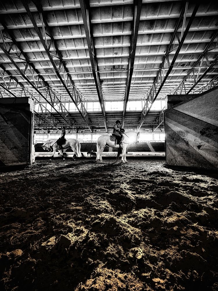 Мороз и свет в манеже .Что может быть прекраснее ?