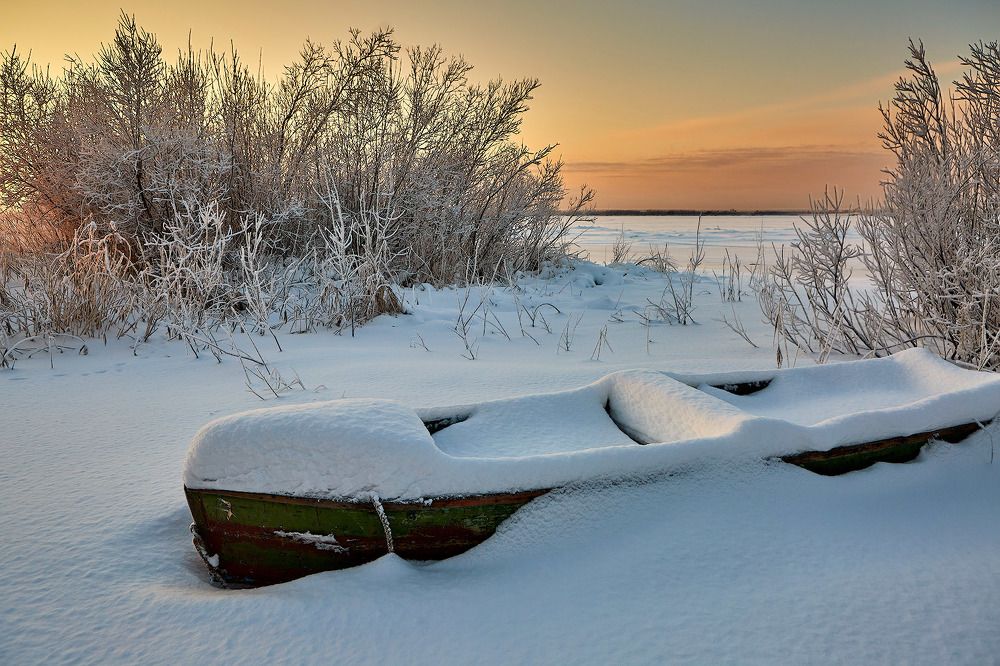 Фотография автора Totoro D