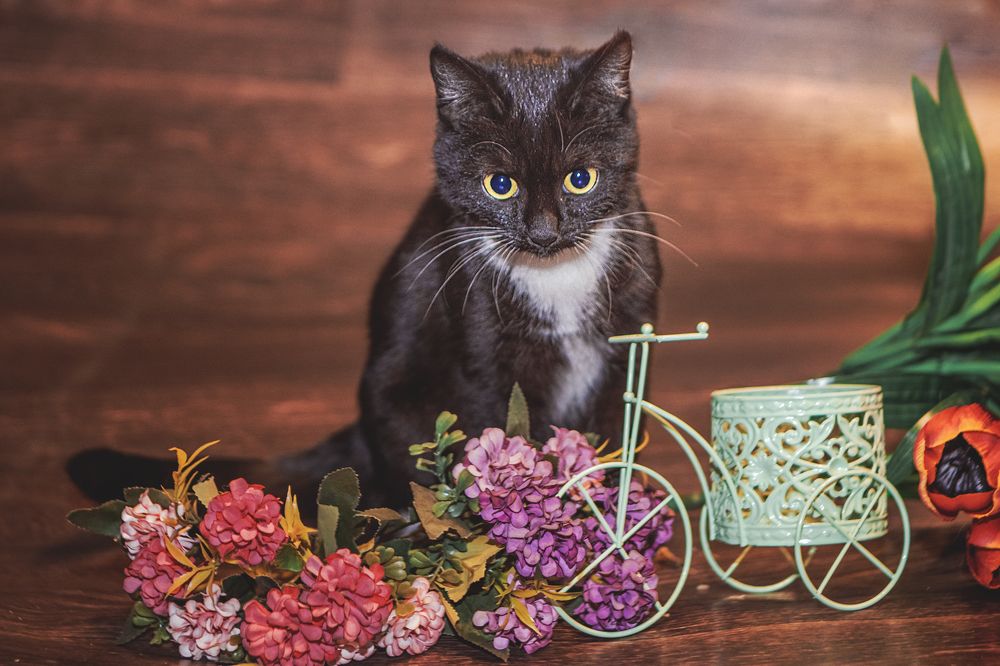 Photograph by Татьяна Нестеренко