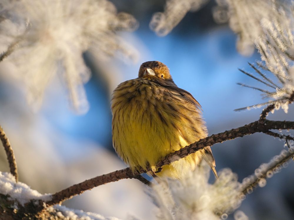 Photograph by Юлия Золотухина