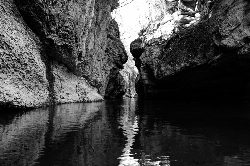 Photograph by Ирина Дмитриенко