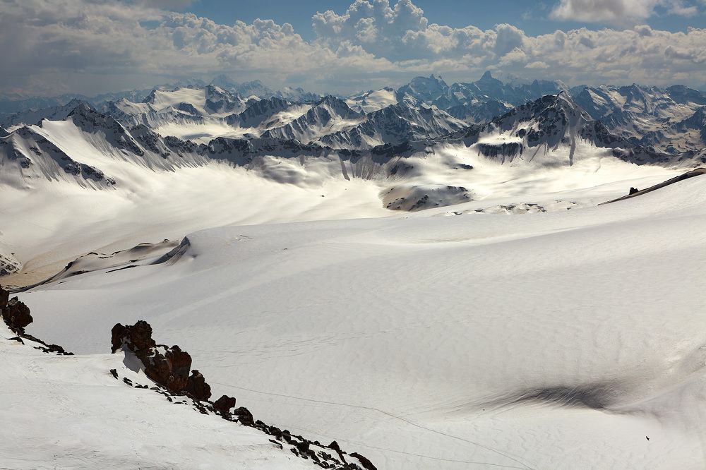 Фотография автора Totoro D