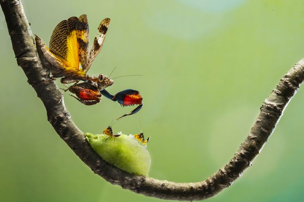 Photograph by Tinh Dang thanh