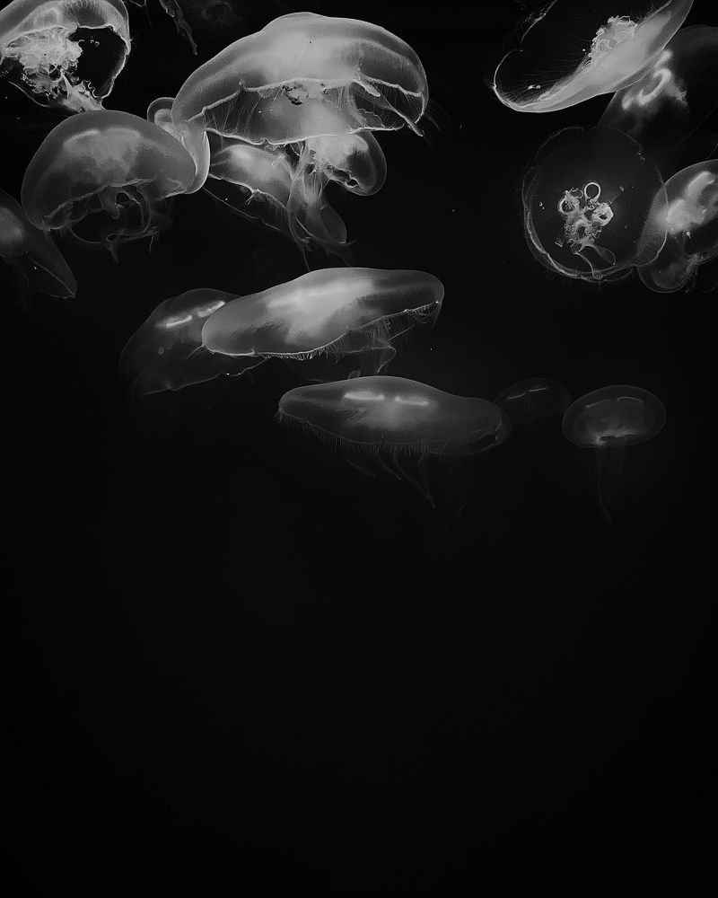Photograph by Мария