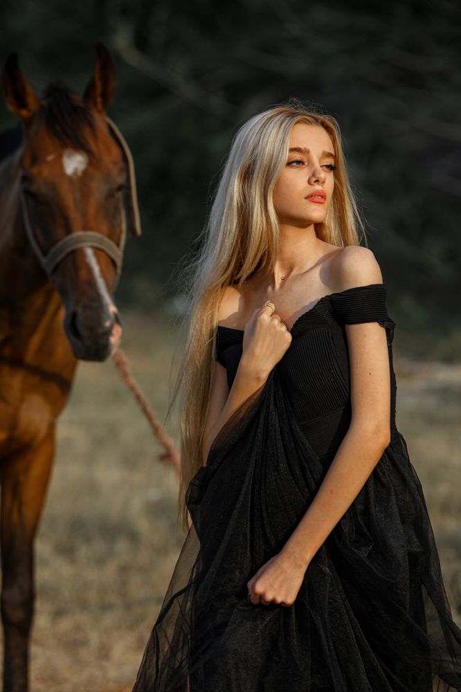 Фотография автора Danial Shokrollahi