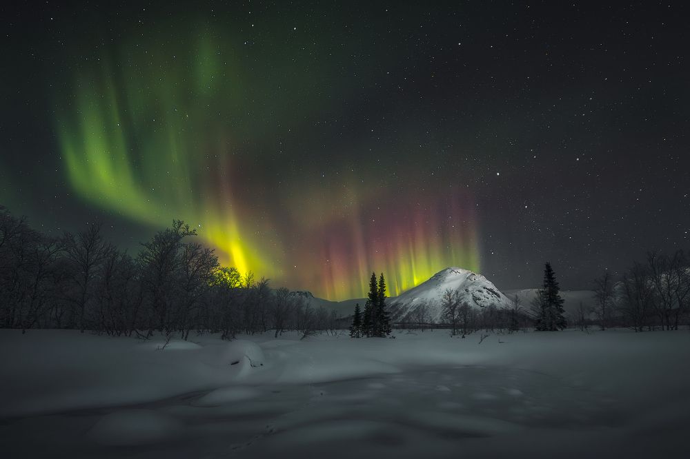 Photograph by Антон Шваин