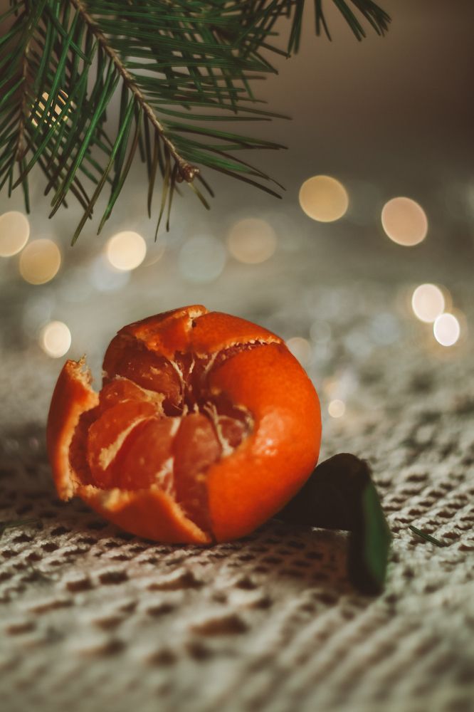 Photograph by Elena Kilina