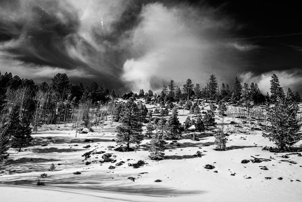 Photograph by Damian Pérez