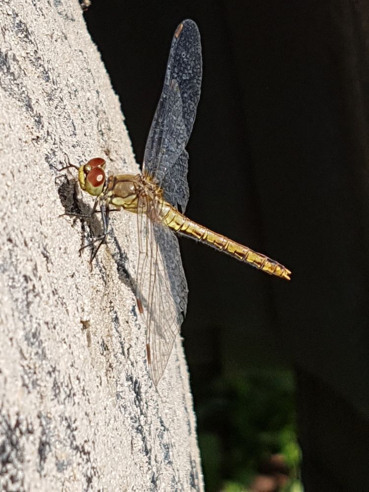 Фотография автора Евгений Кузьмич Костров