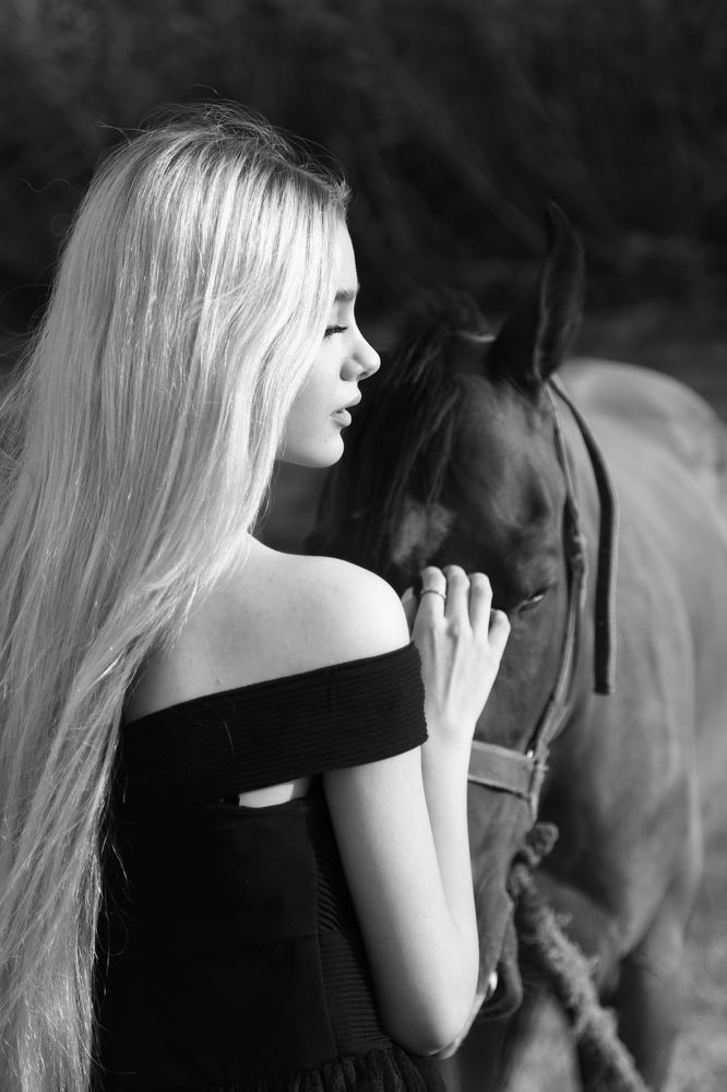 Фотография автора Danial Shokrollahi