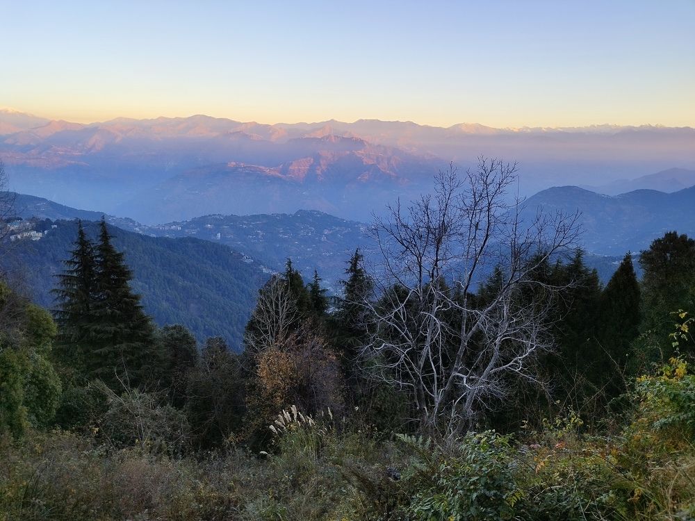 Photo #10081644