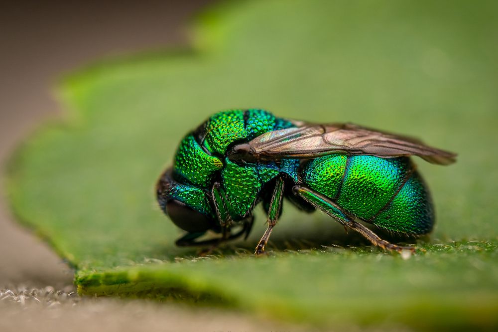 Photograph by Talha Maqsood