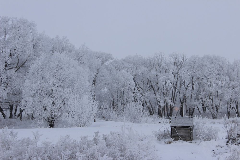 Photograph by Абрам Петерс