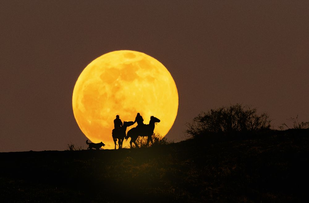 Photograph by Natalia Bolotenkova