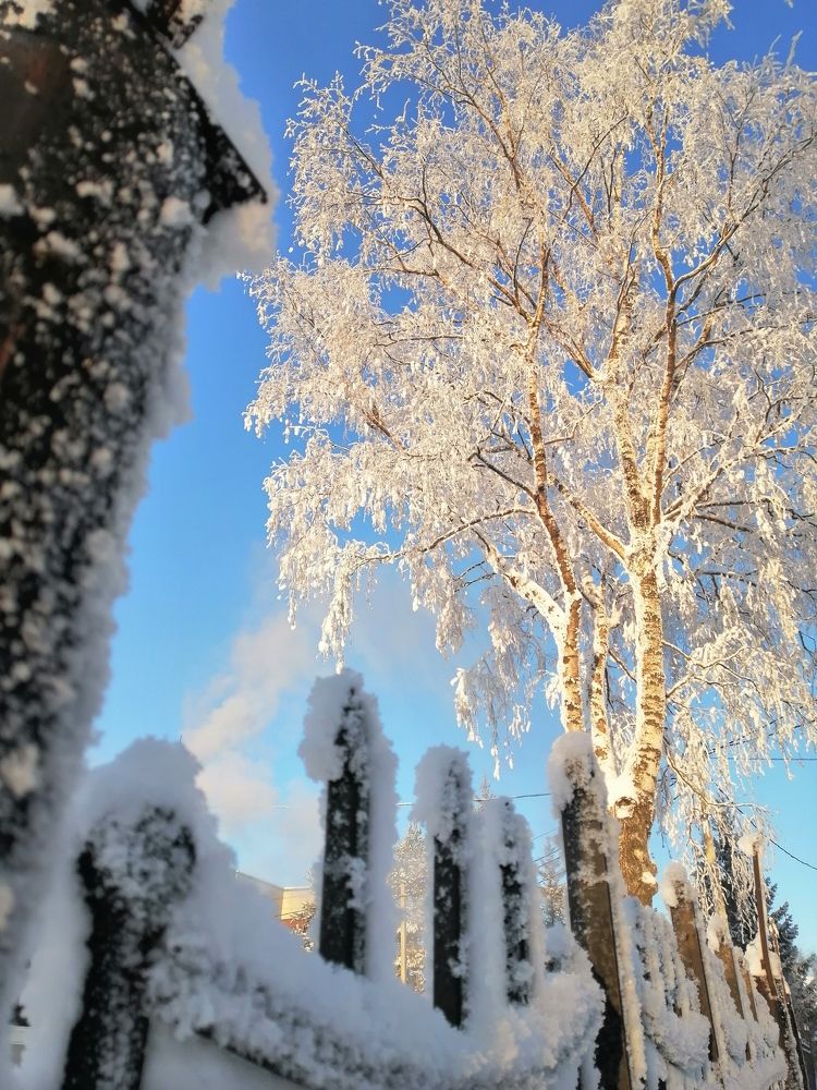 Photograph by Виктория Дремо