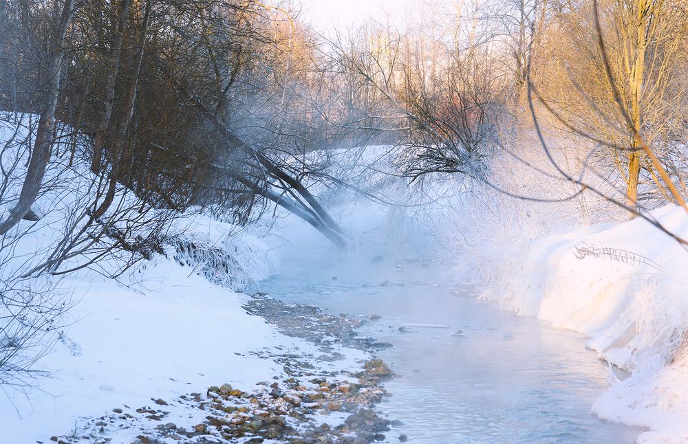 Фотография автора Кулешов Сергей