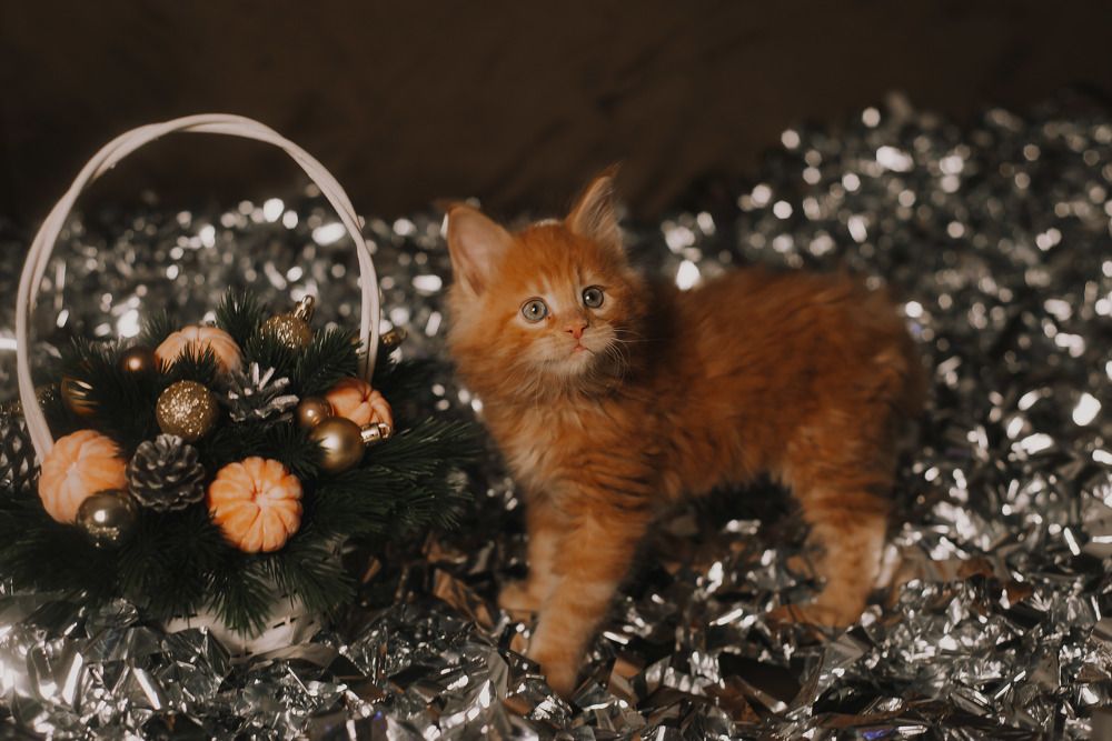 Photograph by Светлана Субботина