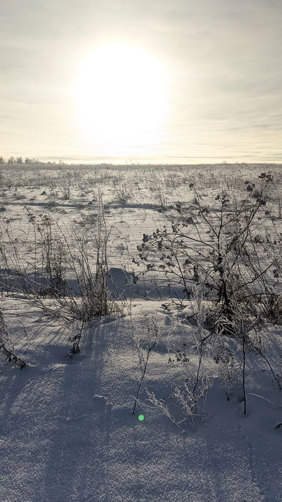 Фотография автора Васильева Ирина