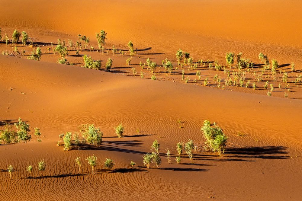 Photograph by Amirhossein Yousefi Keysari