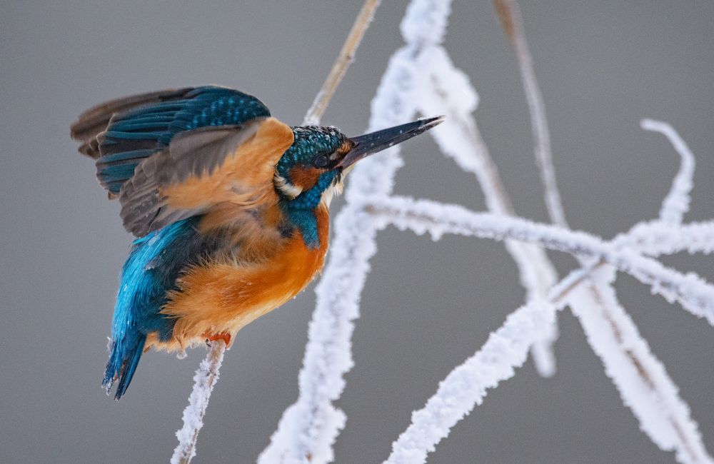 Фотография автора Татьяна Ливеровская