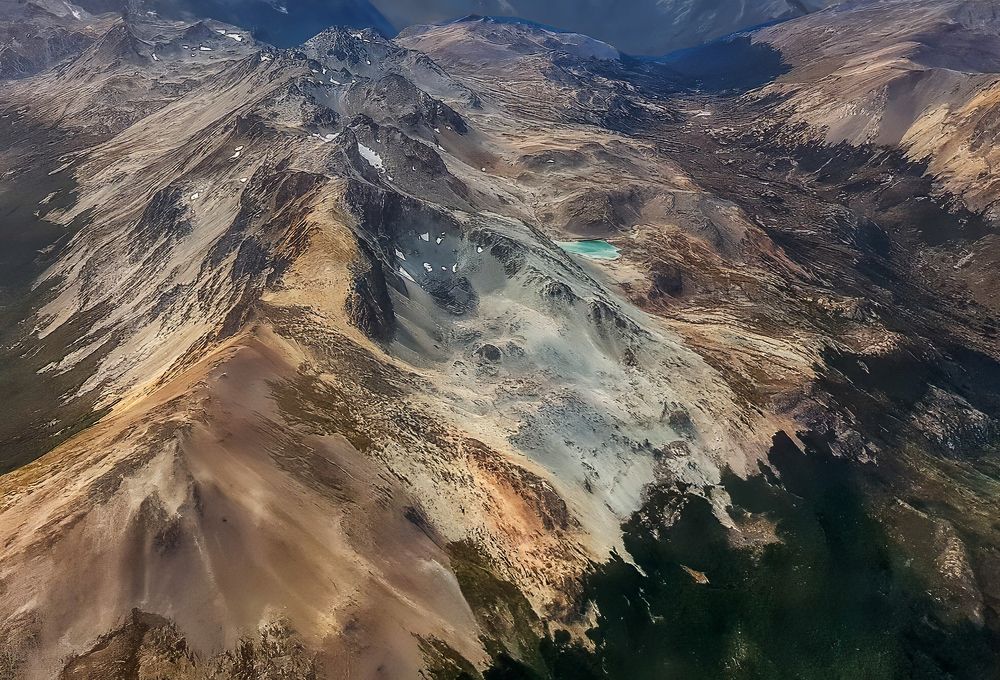 Photograph by Carlos Gianoli