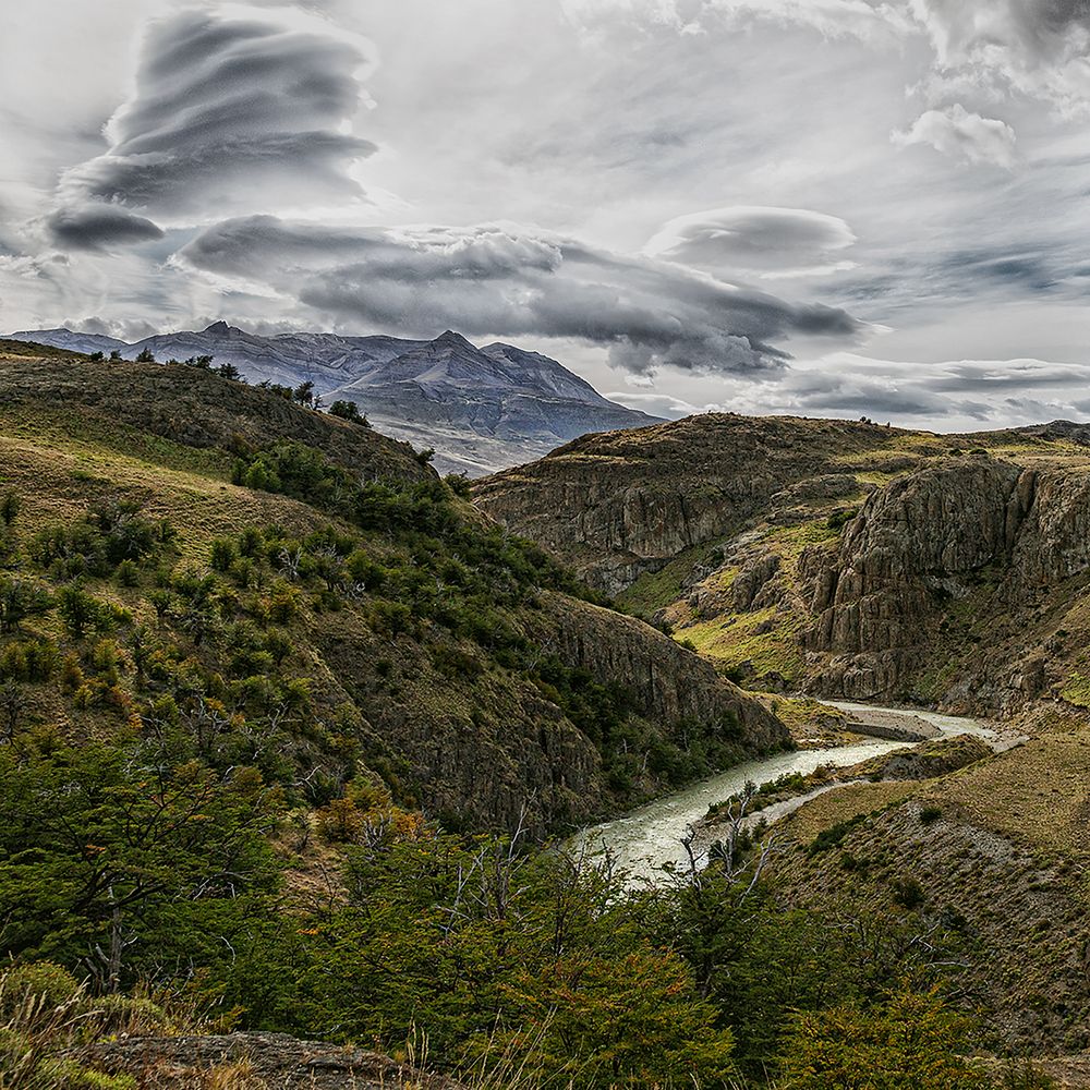 Фотография автора Carlos Gianoli