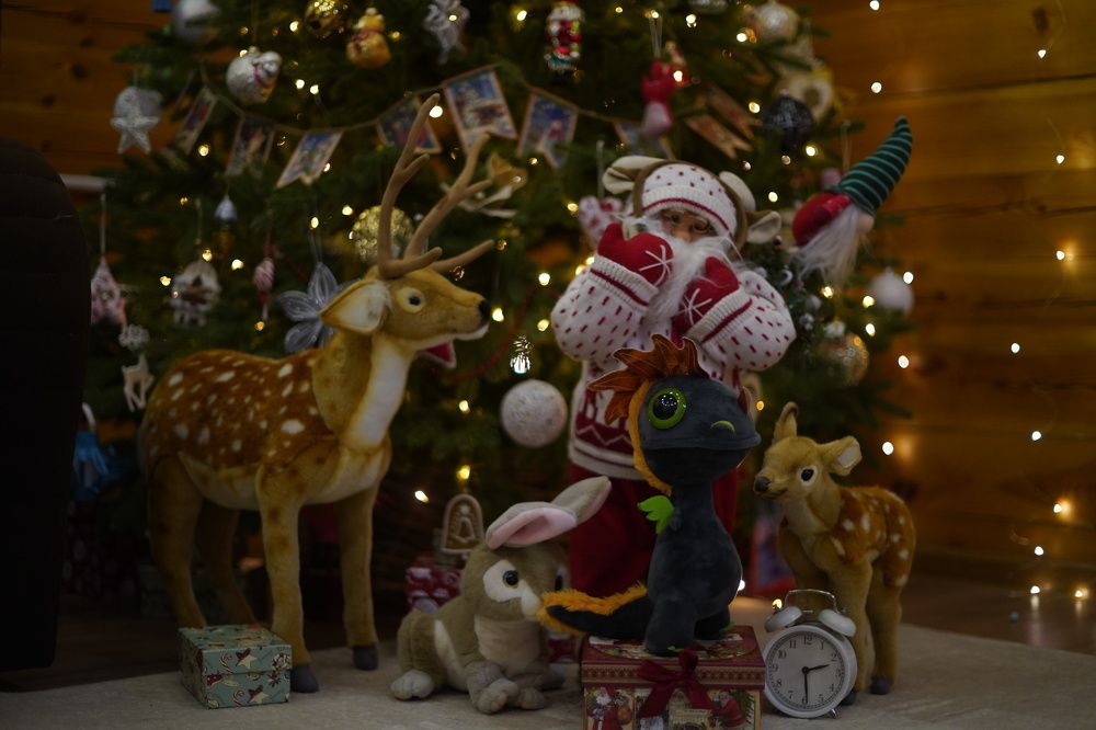 Photograph by Анастасия Позинич