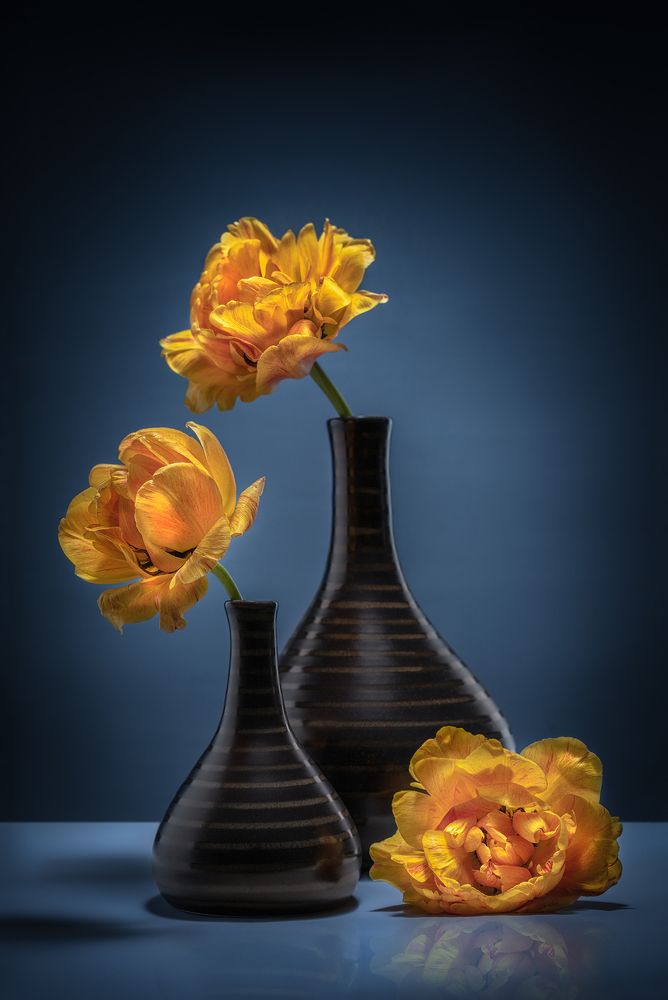 Фотография автора ЯR Ольга