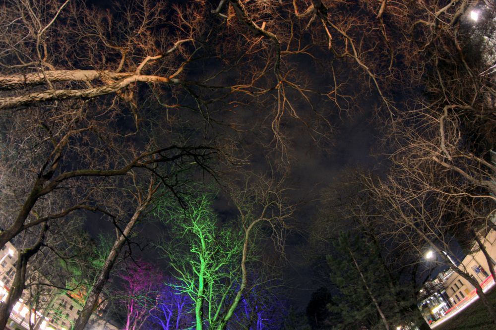 Photograph by Сергей Христинич