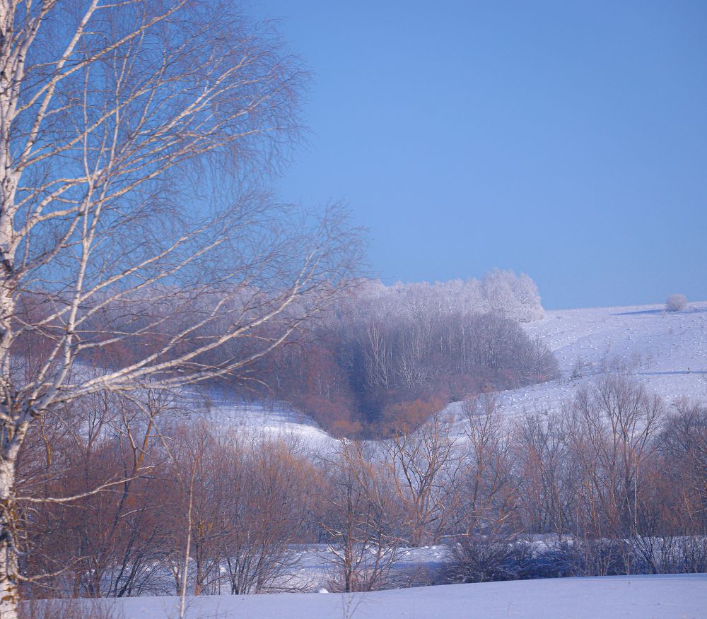 Photograph by Игорь Толкачев
