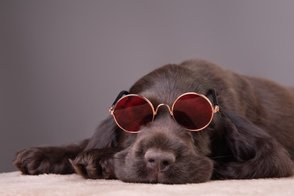 Photograph by наталья залогина