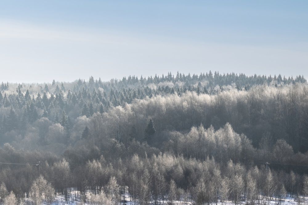 Photograph by Сергей Хабаров