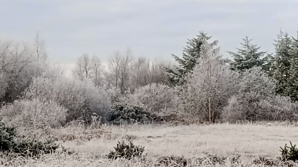 Snow